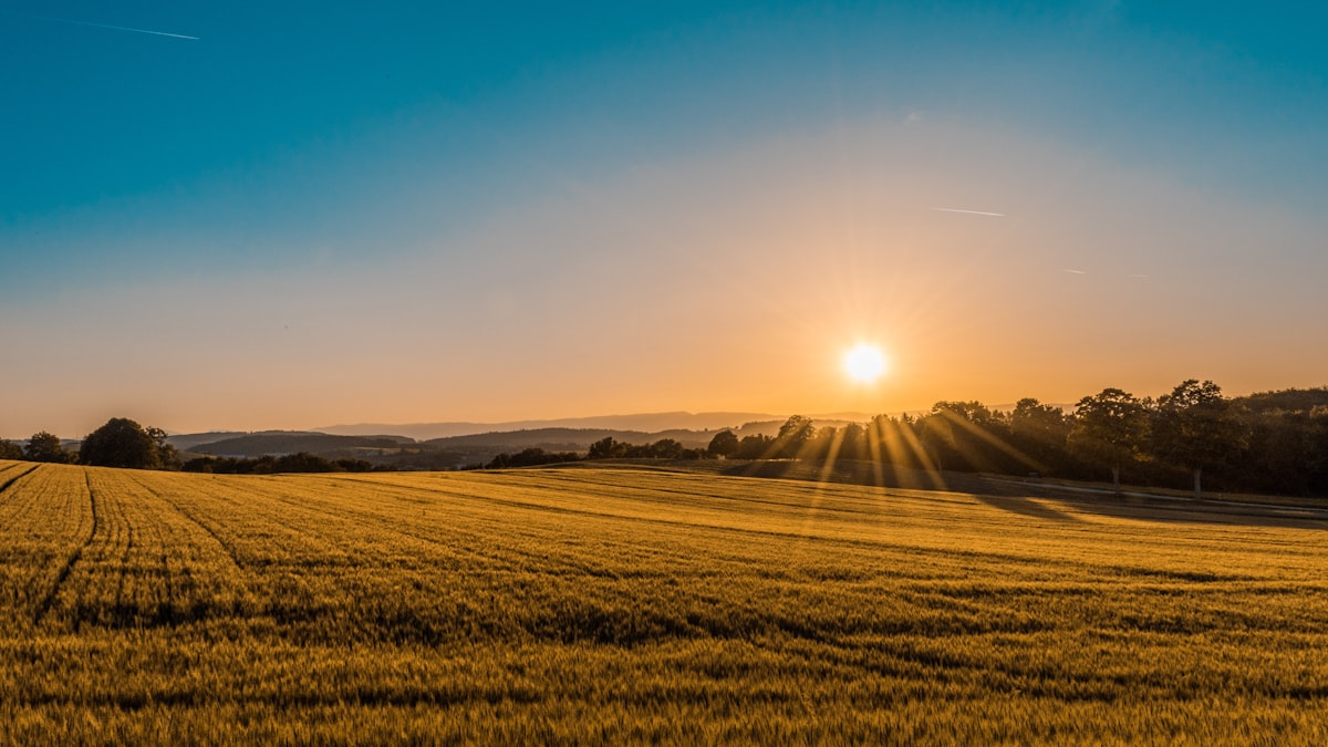 Land Banking